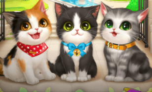 Kitten Match Cheats